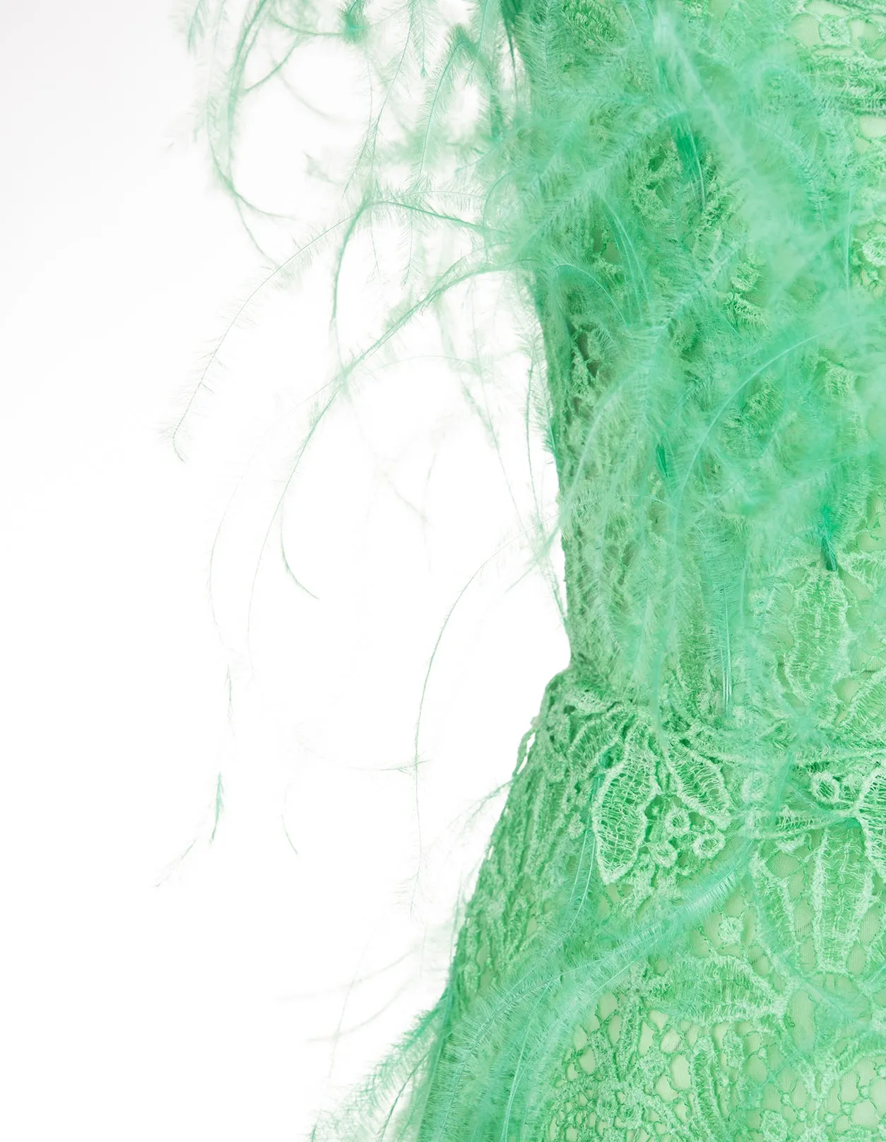 Ermanno Scervino Lace-Embroidered Strapless Dress