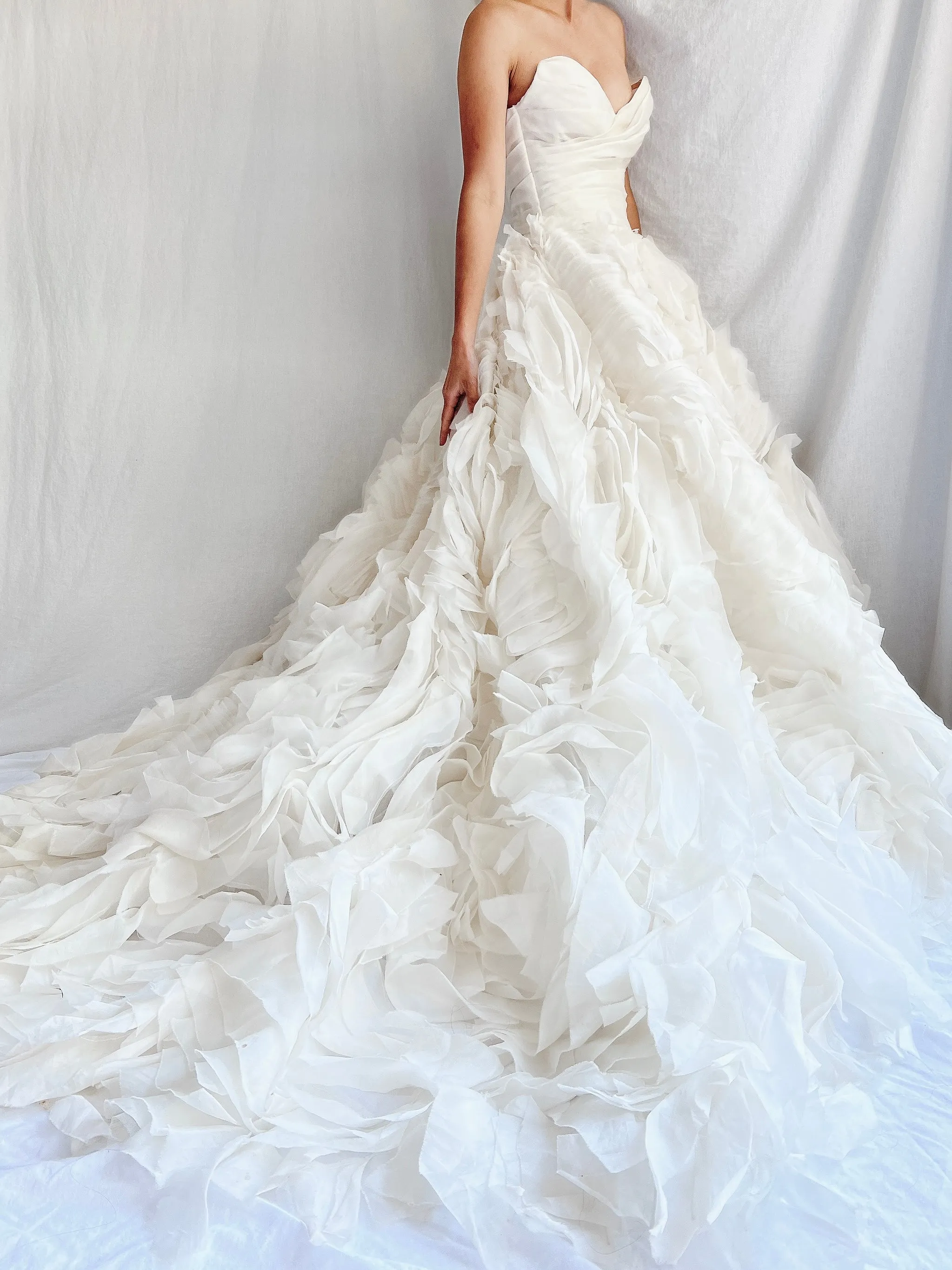 Monique Llhuilier Platinum Silk Organza Dress - XS/2