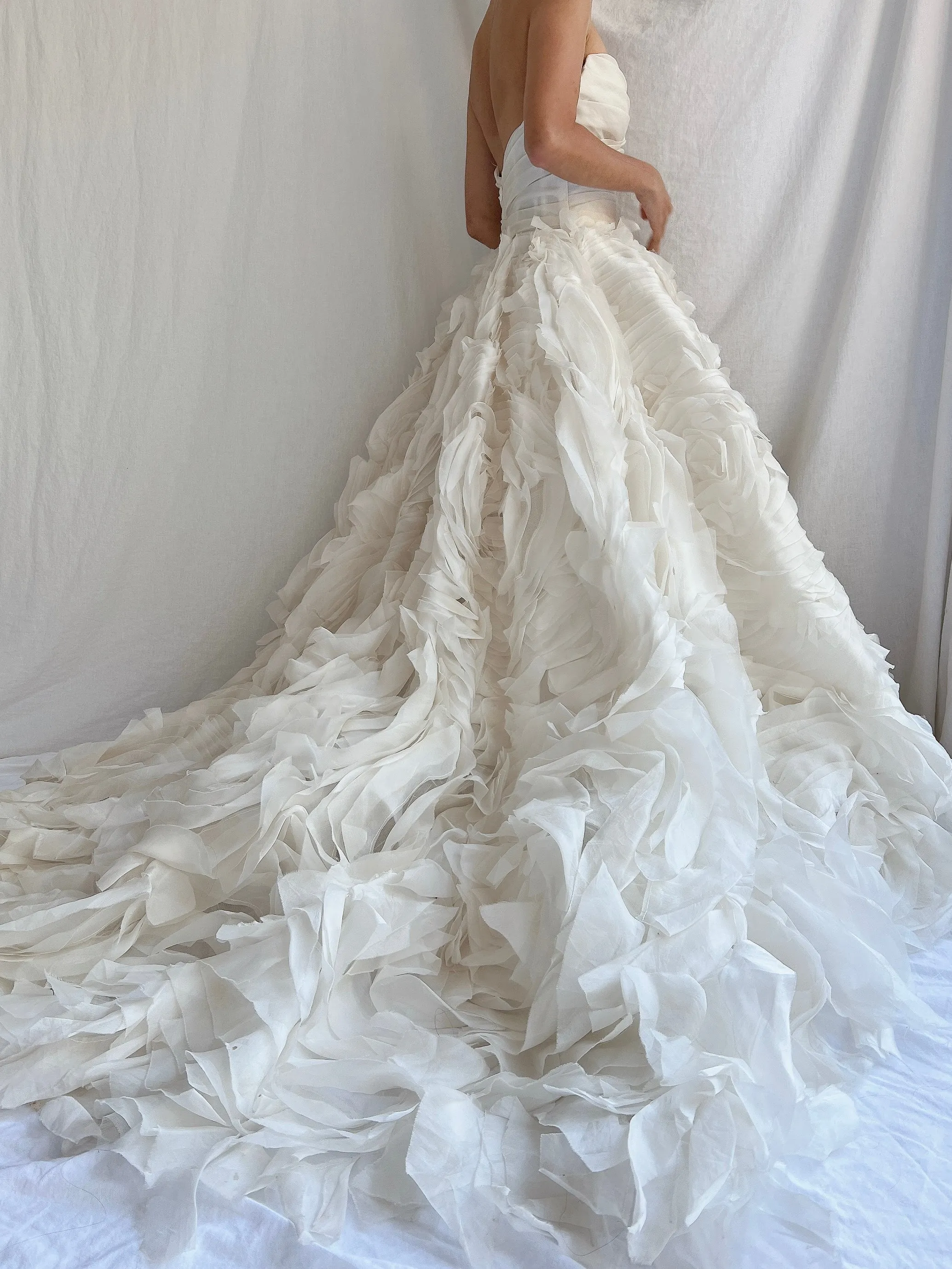 Monique Llhuilier Platinum Silk Organza Dress - XS/2