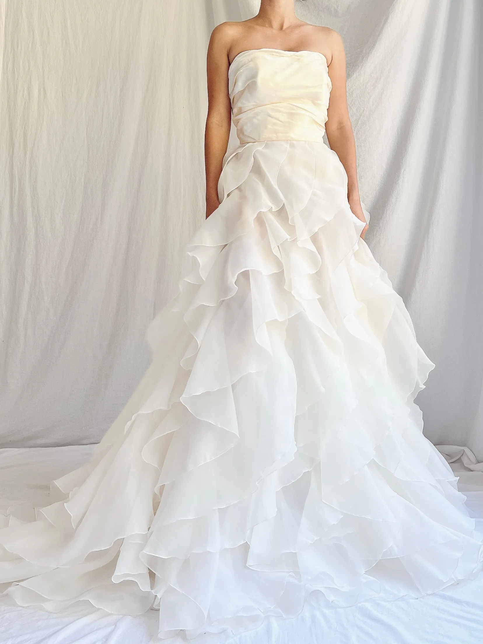 Vintage Silk and Voile Organza Gown - S/4/6