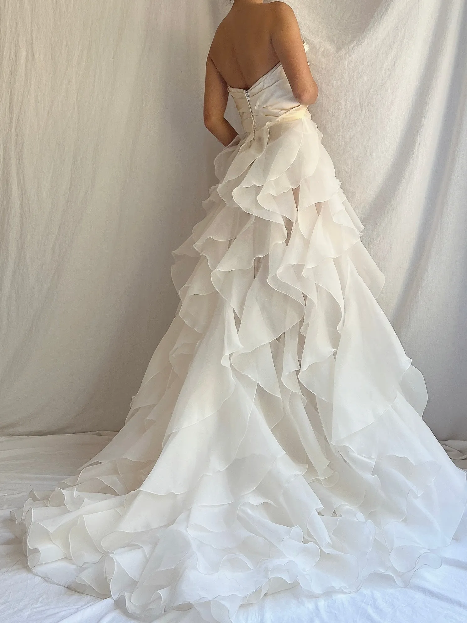 Vintage Silk and Voile Organza Gown - S/4/6