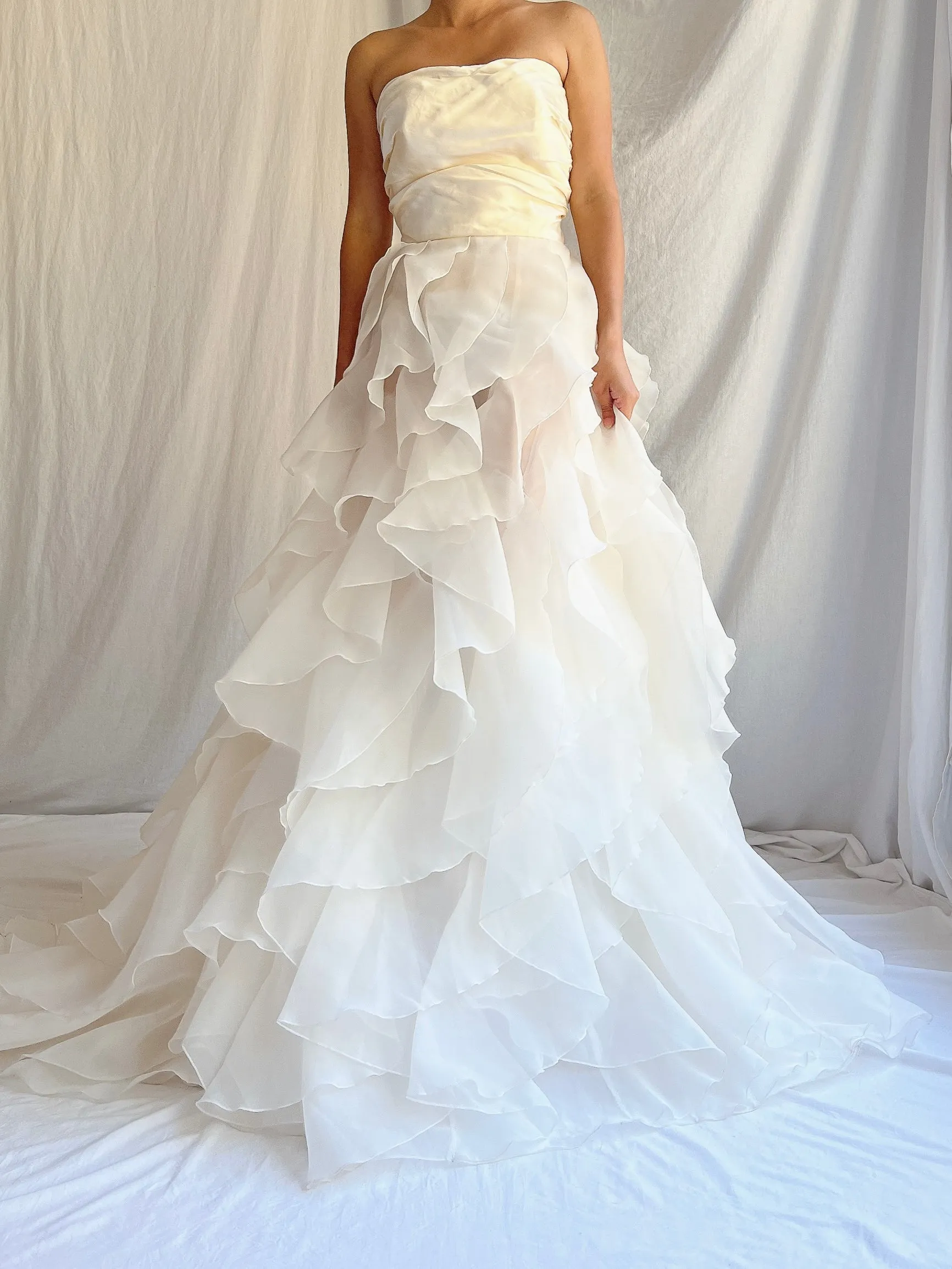 Vintage Silk and Voile Organza Gown - S/4/6