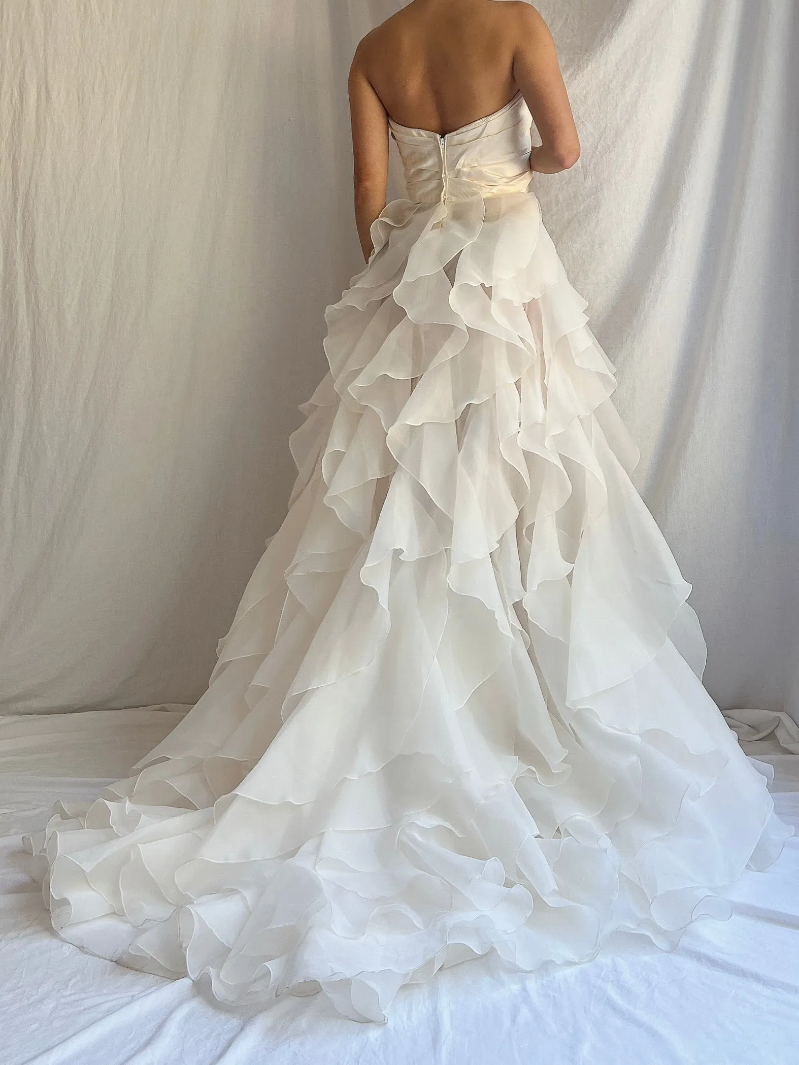Vintage Silk and Voile Organza Gown - S/4/6